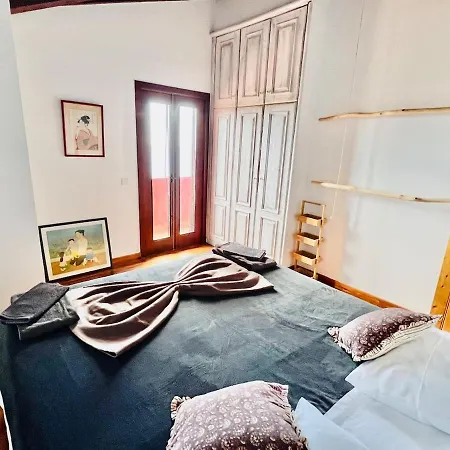 Oasis In Madeira By Ymr