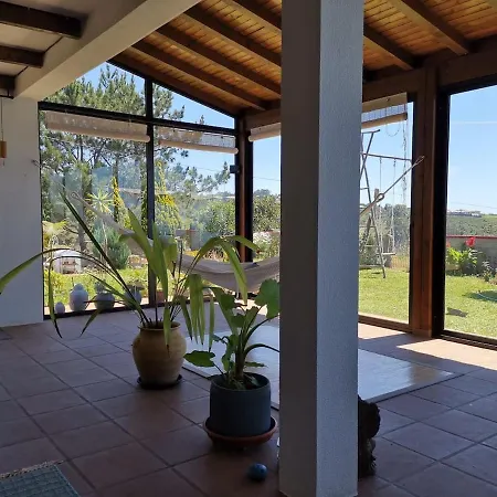 Oasis In Madeira By Ymr * Raposeira do Logarinho