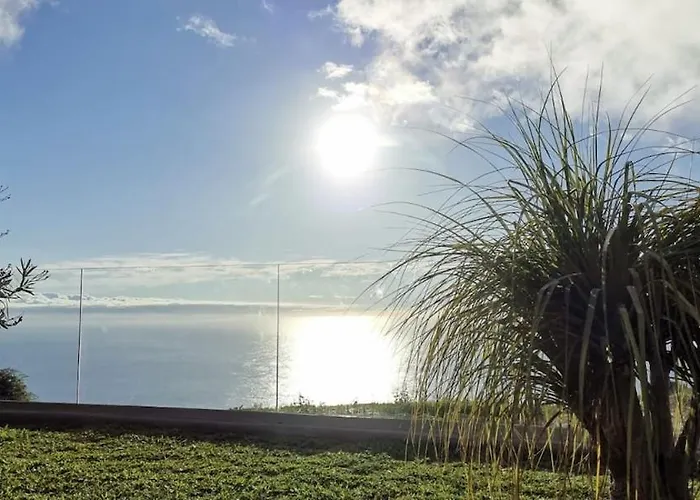 Oasis In Madeira By Ymr Hébergement de vacances