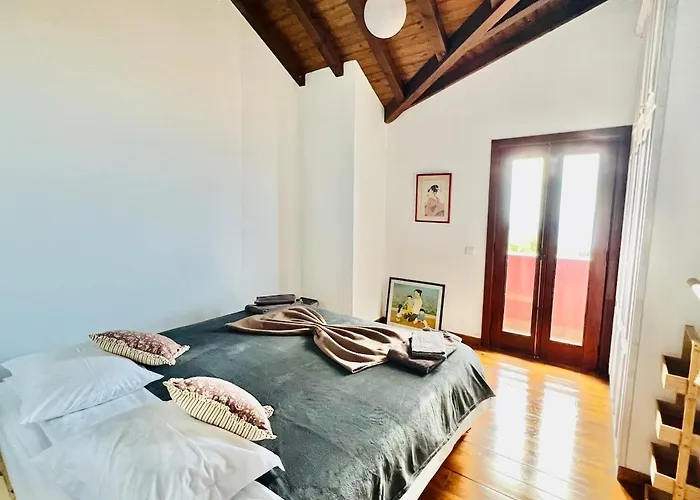 Oasis In Madeira By Ymr Hébergement de vacances